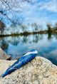 Reflexzonenstab Lapis Lazuli "Die Königliche"