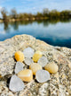 Wasserkristalle Calcit & Bergkristall "Sonnenkraft"